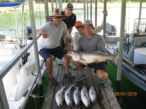 Nice Striped Bass